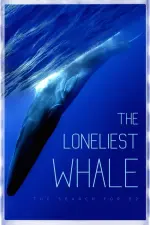 Film The Loneliest Whale: The Search for 52 (2021)